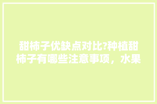 甜柿子优缺点对比?种植甜柿子有哪些注意事项，水果甜柿子种植方法。 甜柿子优缺点对比?种植甜柿子有哪些注意事项，水果甜柿子种植方法。 蔬菜种植