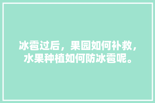 冰雹过后，果园如何补救，水果种植如何防冰雹呢。 冰雹过后，果园如何补救，水果种植如何防冰雹呢。 土壤施肥