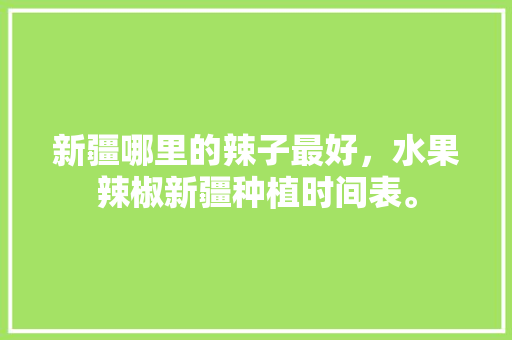 新疆哪里的辣子最好，水果辣椒新疆种植时间表。 新疆哪里的辣子最好，水果辣椒新疆种植时间表。 水果种植