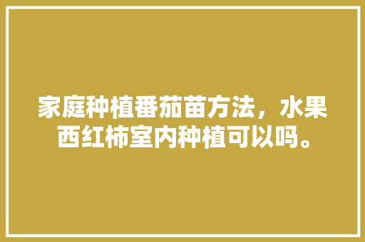 家庭种植番茄苗方法，水果西红柿室内种植可以吗。 家庭种植番茄苗方法，水果西红柿室内种植可以吗。 家禽养殖