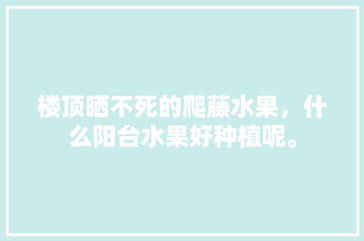 楼顶晒不死的爬藤水果，什么阳台水果好种植呢。 楼顶晒不死的爬藤水果，什么阳台水果好种植呢。 水果种植