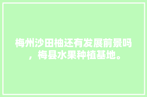 梅州沙田柚还有发展前景吗，梅县水果种植基地。 梅州沙田柚还有发展前景吗，梅县水果种植基地。 家禽养殖