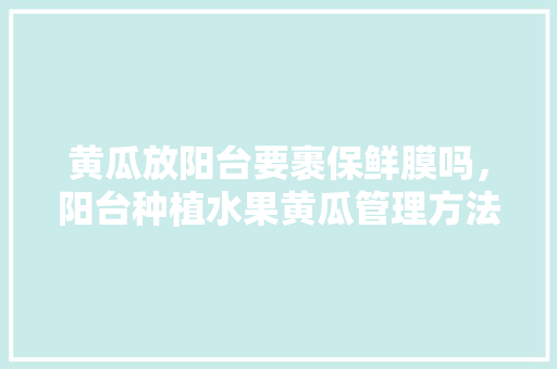 黄瓜放阳台要裹保鲜膜吗，阳台种植水果黄瓜管理方法。 黄瓜放阳台要裹保鲜膜吗，阳台种植水果黄瓜管理方法。 家禽养殖