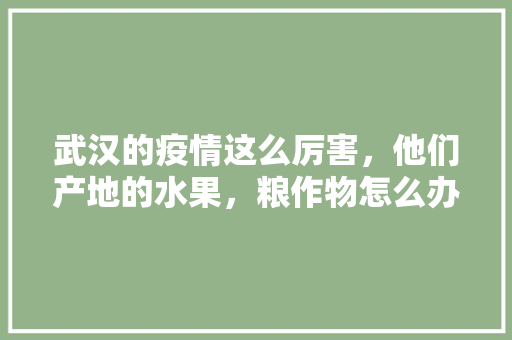 武汉的疫情这么厉害，他们产地的水果，粮作物怎么办，武汉地区水果种植面积。 武汉的疫情这么厉害，他们产地的水果，粮作物怎么办，武汉地区水果种植面积。 土壤施肥