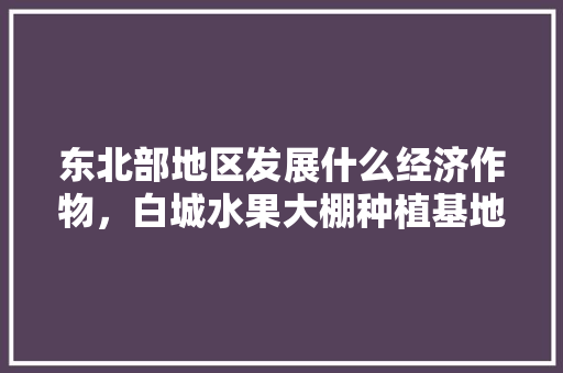 东北部地区发展什么经济作物，白城水果大棚种植基地在哪。 东北部地区发展什么经济作物，白城水果大棚种植基地在哪。 水果种植