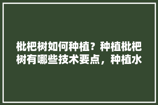 枇杷树如何种植？种植枇杷树有哪些技术要点，种植水果琵琶图片。 枇杷树如何种植？种植枇杷树有哪些技术要点，种植水果琵琶图片。 畜牧养殖