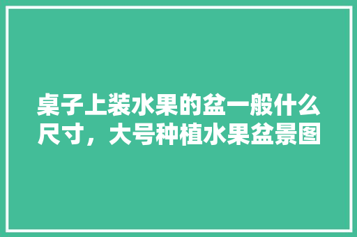 桌子上装水果的盆一般什么尺寸，大号种植水果盆景图片。 桌子上装水果的盆一般什么尺寸，大号种植水果盆景图片。 家禽养殖