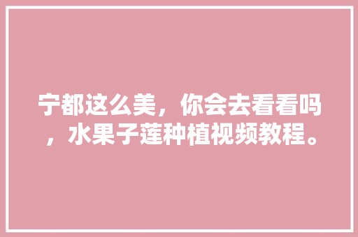 宁都这么美，你会去看看吗，水果子莲种植视频教程。 宁都这么美，你会去看看吗，水果子莲种植视频教程。 土壤施肥