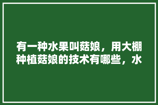 有一种水果叫菇娘，用大棚种植菇娘的技术有哪些，水果姑娘的种植技术与管理。 有一种水果叫菇娘，用大棚种植菇娘的技术有哪些，水果姑娘的种植技术与管理。 蔬菜种植