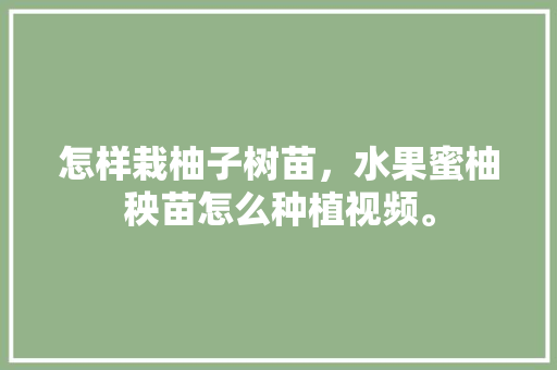 怎样栽柚子树苗，水果蜜柚秧苗怎么种植视频。 怎样栽柚子树苗，水果蜜柚秧苗怎么种植视频。 畜牧养殖