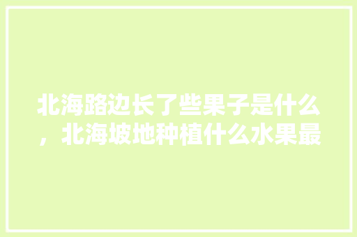 北海路边长了些果子是什么，北海坡地种植什么水果最好。 北海路边长了些果子是什么，北海坡地种植什么水果最好。 水果种植