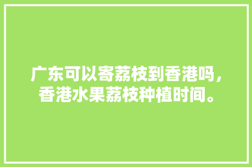 广东可以寄荔枝到香港吗，香港水果荔枝种植时间。 广东可以寄荔枝到香港吗，香港水果荔枝种植时间。 蔬菜种植