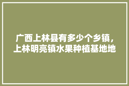 广西上林县有多少个乡镇，上林明亮镇水果种植基地地址。 广西上林县有多少个乡镇，上林明亮镇水果种植基地地址。 畜牧养殖