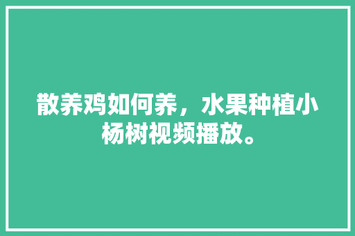 散养鸡如何养，水果种植小杨树视频播放。 散养鸡如何养，水果种植小杨树视频播放。 畜牧养殖