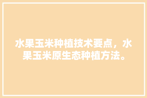 水果玉米种植技术要点，水果玉米原生态种植方法。 水果玉米种植技术要点，水果玉米原生态种植方法。 水果种植