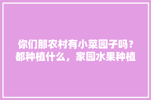 你们那农村有小菜园子吗？都种植什么，家园水果种植方案。 你们那农村有小菜园子吗？都种植什么，家园水果种植方案。 家禽养殖