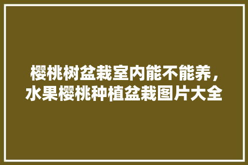 樱桃树盆栽室内能不能养，水果樱桃种植盆栽图片大全。 樱桃树盆栽室内能不能养，水果樱桃种植盆栽图片大全。 土壤施肥