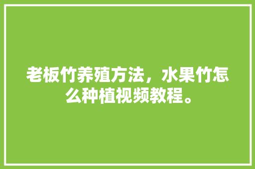 老板竹养殖方法，水果竹怎么种植视频教程。 老板竹养殖方法，水果竹怎么种植视频教程。 蔬菜种植