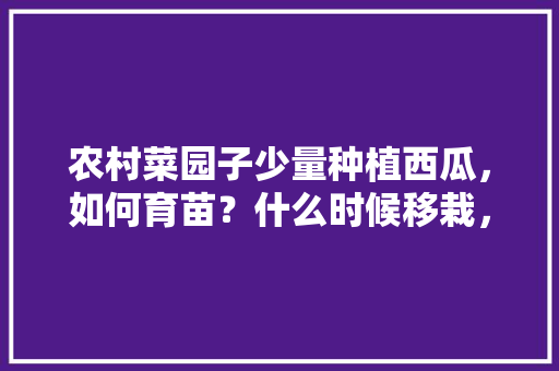 农村菜园子少量种植西瓜，如何育苗？什么时候移栽，水果西瓜种植时间。 农村菜园子少量种植西瓜，如何育苗？什么时候移栽，水果西瓜种植时间。 畜牧养殖