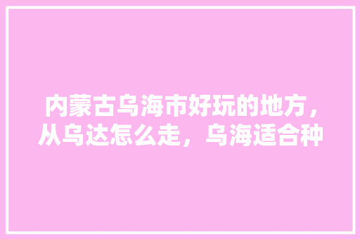 内蒙古乌海市好玩的地方，从乌达怎么走，乌海适合种植哪些水果树。 内蒙古乌海市好玩的地方，从乌达怎么走，乌海适合种植哪些水果树。 水果种植