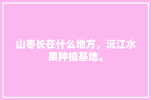 山枣长在什么地方，沅江水果种植基地。 山枣长在什么地方，沅江水果种植基地。 水果种植