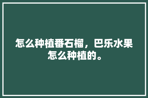 怎么种植番石榴，巴乐水果怎么种植的。 怎么种植番石榴，巴乐水果怎么种植的。 蔬菜种植