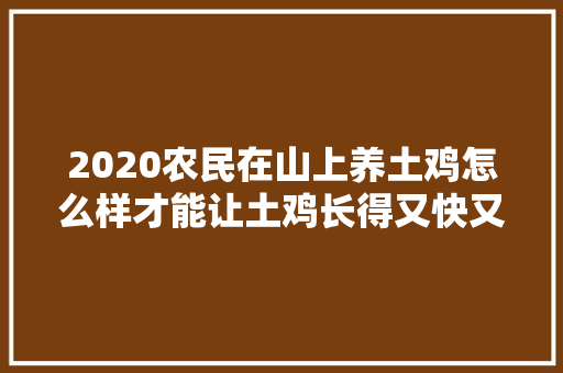 2020农民在山上养土鸡怎么样才能让土鸡长得又快又肥美，种植大棚水果技术视频教程。 2020农民在山上养土鸡怎么样才能让土鸡长得又快又肥美，种植大棚水果技术视频教程。 水果种植