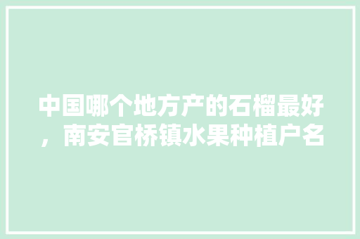 中国哪个地方产的石榴最好，南安官桥镇水果种植户名单。 中国哪个地方产的石榴最好，南安官桥镇水果种植户名单。 水果种植