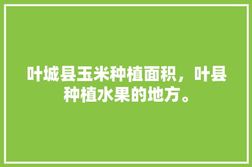 叶城县玉米种植面积，叶县种植水果的地方。 叶城县玉米种植面积，叶县种植水果的地方。 水果种植