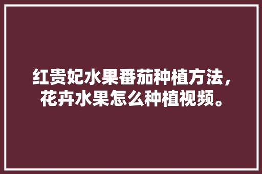 红贵妃水果番茄种植方法，花卉水果怎么种植视频。 红贵妃水果番茄种植方法，花卉水果怎么种植视频。 家禽养殖