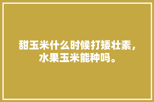 甜玉米什么时候打矮壮素，水果玉米能种吗。 甜玉米什么时候打矮壮素，水果玉米能种吗。 土壤施肥