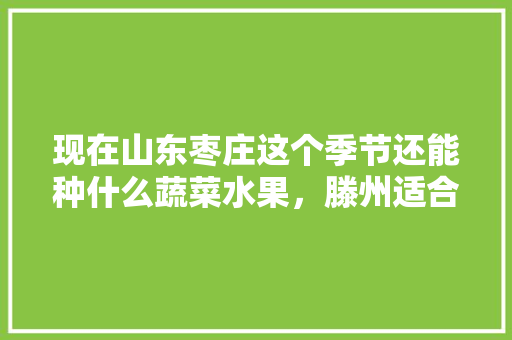 现在山东枣庄这个季节还能种什么蔬菜水果，滕州适合种植的水果有哪些。 现在山东枣庄这个季节还能种什么蔬菜水果，滕州适合种植的水果有哪些。 水果种植