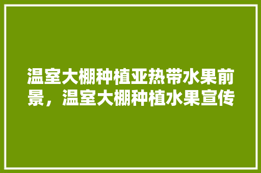 温室大棚种植亚热带水果前景，温室大棚种植水果宣传文案。 温室大棚种植亚热带水果前景，温室大棚种植水果宣传文案。 水果种植