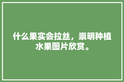 什么果实会拉丝，崇明种植水果图片欣赏。 什么果实会拉丝，崇明种植水果图片欣赏。 水果种植