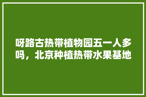 呀路古热带植物园五一人多吗，北京种植热带水果基地在哪里。 呀路古热带植物园五一人多吗，北京种植热带水果基地在哪里。 家禽养殖