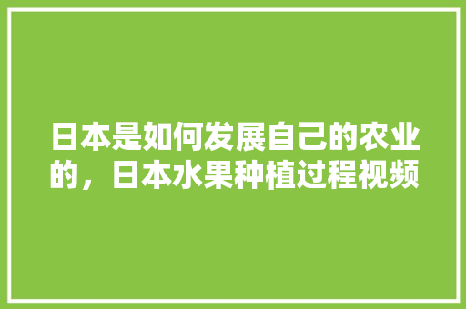 日本是如何发展自己的农业的，日本水果种植过程视频。 日本是如何发展自己的农业的，日本水果种植过程视频。 蔬菜种植