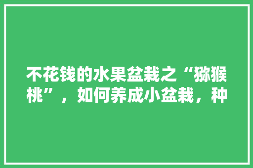 不花钱的水果盆栽之“猕猴桃”，如何养成小盆栽，种植水果盆栽图片大全。 不花钱的水果盆栽之“猕猴桃”，如何养成小盆栽，种植水果盆栽图片大全。 家禽养殖