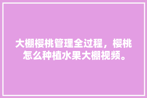 大棚樱桃管理全过程，樱桃怎么种植水果大棚视频。 大棚樱桃管理全过程，樱桃怎么种植水果大棚视频。 土壤施肥