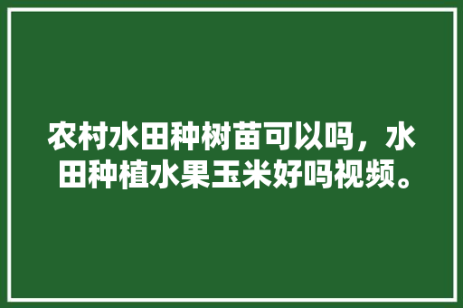 农村水田种树苗可以吗，水田种植水果玉米好吗视频。 农村水田种树苗可以吗，水田种植水果玉米好吗视频。 土壤施肥