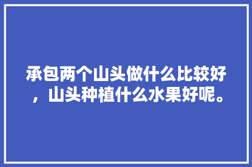 承包两个山头做什么比较好，山头种植什么水果好呢。 承包两个山头做什么比较好，山头种植什么水果好呢。 水果种植