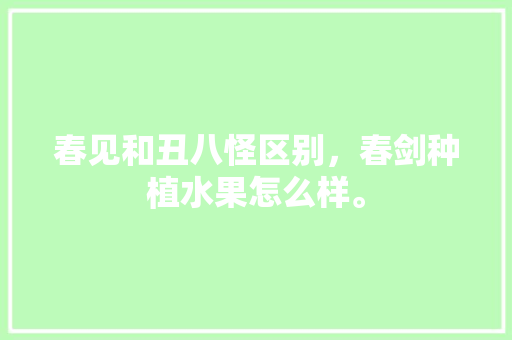 春见和丑八怪区别，春剑种植水果怎么样。 春见和丑八怪区别，春剑种植水果怎么样。 蔬菜种植