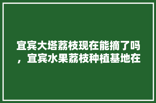 宜宾大塔荔枝现在能摘了吗，宜宾水果荔枝种植基地在哪里。 宜宾大塔荔枝现在能摘了吗，宜宾水果荔枝种植基地在哪里。 畜牧养殖