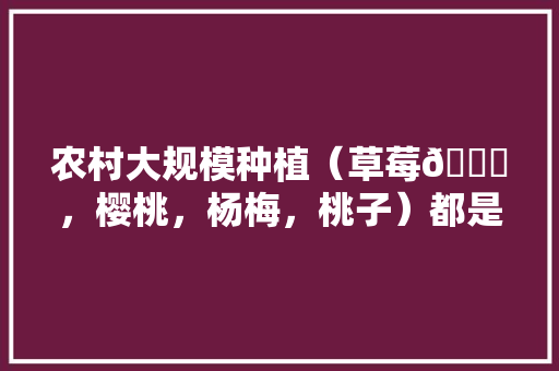 农村大规模种植（草莓🍓，樱桃，杨梅，桃子）都是应季水果，怎么做到深加工快速消费，网红水果怎么种植的。 农村大规模种植（草莓🍓，樱桃，杨梅，桃子）都是应季水果，怎么做到深加工快速消费，网红水果怎么种植的。 水果种植