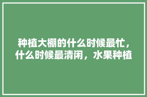 种植大棚的什么时候最忙，什么时候最清闲，水果种植风口图片。 种植大棚的什么时候最忙，什么时候最清闲，水果种植风口图片。 家禽养殖