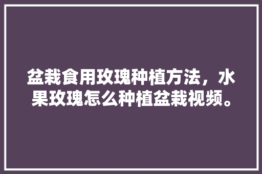 盆栽食用玫瑰种植方法，水果玫瑰怎么种植盆栽视频。 盆栽食用玫瑰种植方法，水果玫瑰怎么种植盆栽视频。 水果种植