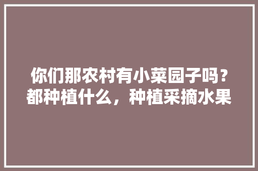 你们那农村有小菜园子吗？都种植什么，种植采摘水果图片大全。 你们那农村有小菜园子吗？都种植什么，种植采摘水果图片大全。 土壤施肥