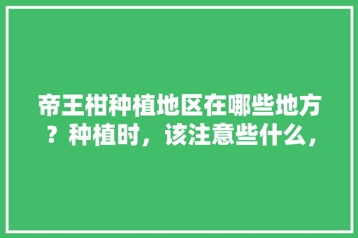 帝王柑种植地区在哪些地方？种植时，该注意些什么，肇庆种植水果玉米的地方。 帝王柑种植地区在哪些地方？种植时，该注意些什么，肇庆种植水果玉米的地方。 畜牧养殖