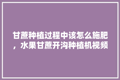 甘蔗种植过程中该怎么施肥，水果甘蔗开沟种植机视频。 甘蔗种植过程中该怎么施肥，水果甘蔗开沟种植机视频。 水果种植