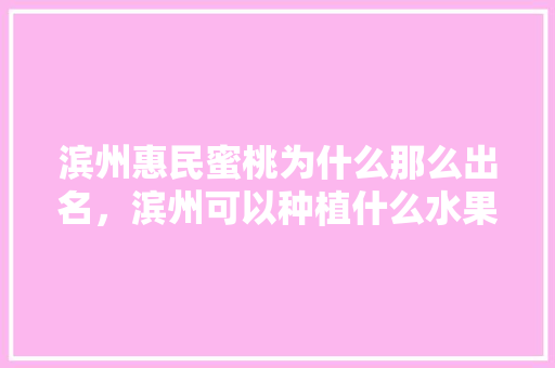 滨州惠民蜜桃为什么那么出名，滨州可以种植什么水果树。 滨州惠民蜜桃为什么那么出名，滨州可以种植什么水果树。 家禽养殖