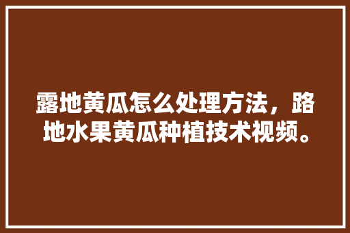 露地黄瓜怎么处理方法，路地水果黄瓜种植技术视频。 露地黄瓜怎么处理方法，路地水果黄瓜种植技术视频。 家禽养殖